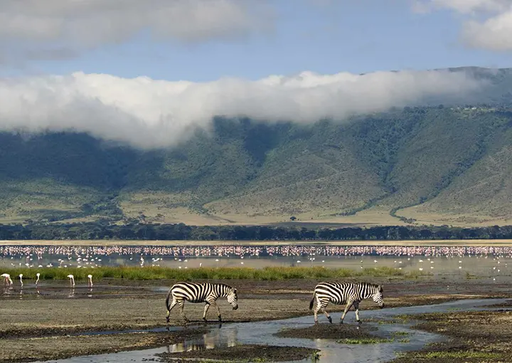Ngorongoro
